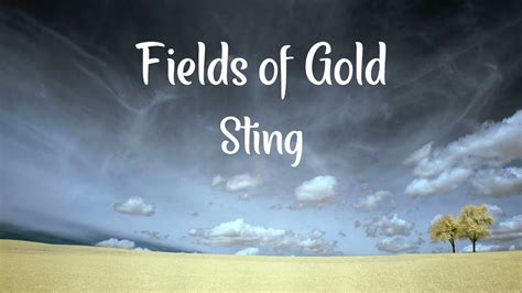 Sting Fields Of Gold Lyrics Youtube