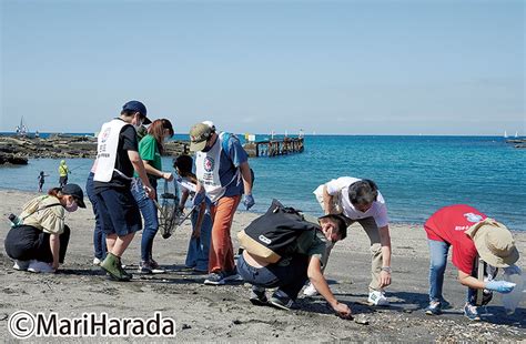 100年後もきれいな海で 地元高校生らが海岸清掃 三浦 タウンニュース