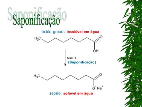 O Que Significa Saponificação - O Que é Saponificação - FDPLEARN