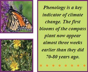 Phenology - Land & Natural Resources