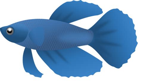 Big fish clipart no background - ClipArt Best - ClipArt Best