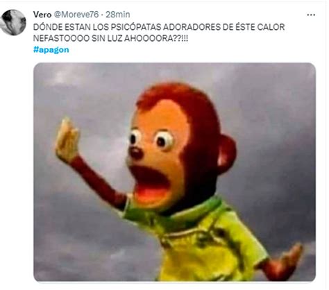 Medio País Se Quedó Sin Luz Y Explotaron Los Memes En Las Redes