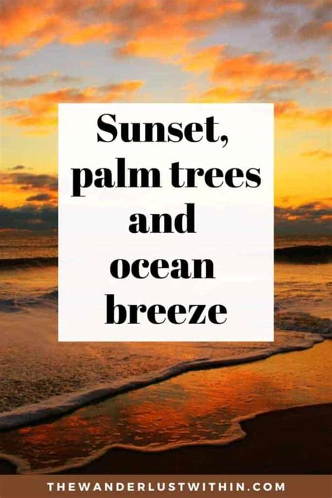 300 Perfect Sunset Captions For Instagram Puns Quotes Sayings 2024