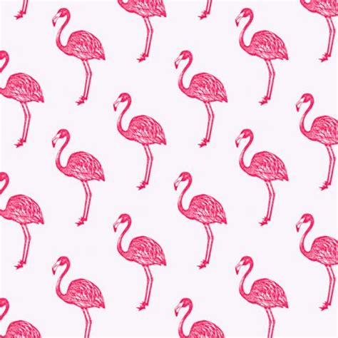 🔥 [40+] Vintage Pink Flamingo Wallpapers | WallpaperSafari