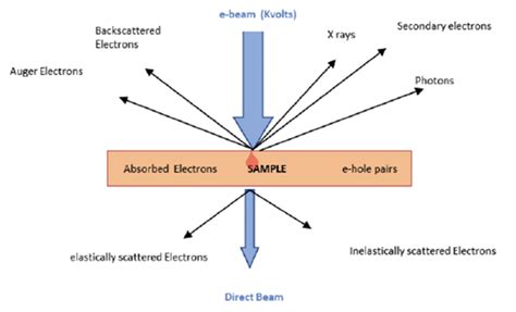 What Are The Main Differences Between An Sem An Esem An Sem Fib And