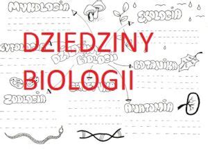 DZIEDZINY BIOLOGII Złoty nauczyciel