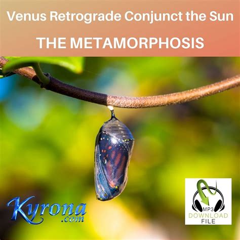 Venus Retrograde Conjunct Sun THE METAMORPHOSIS Kyrona