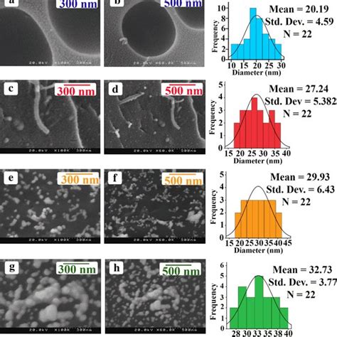 FE SEM Micrographs Of The Fracture Surface Of CA MWNT A And Val MWNT