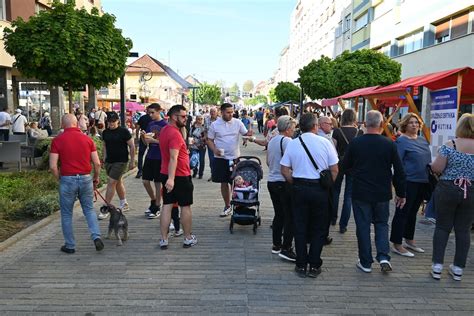 U Sisku Odr An Street Food Festival Portal