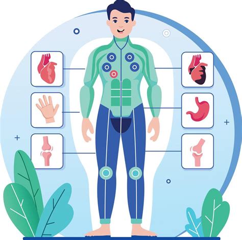 Understanding the Human Body: A Visual Guide 69973550 Vector Art at Vecteezy