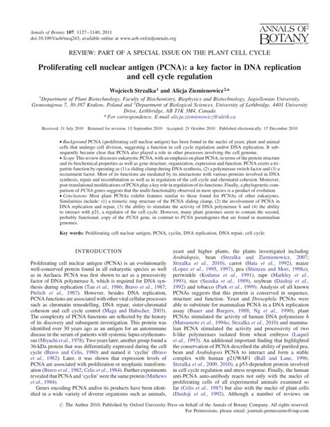 (PDF) Proliferating cell nuclear antigen (PCNA): A key factor in DNA ...