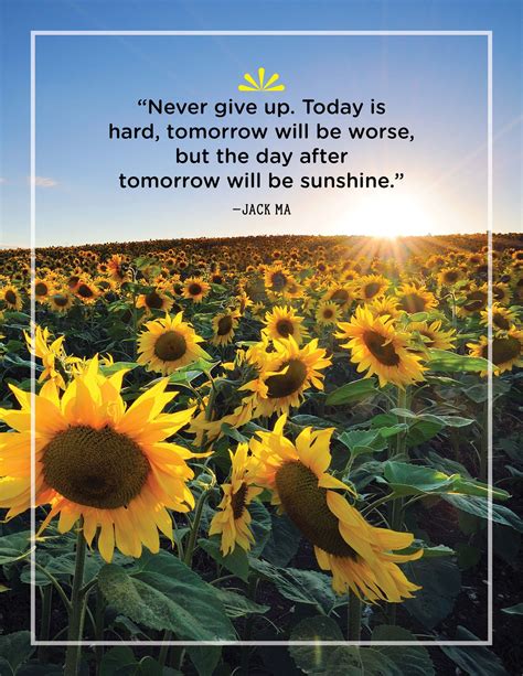 Never Give Up Inspirational Sunshine Quotes Inspirational Quotes About Sunshine Positive