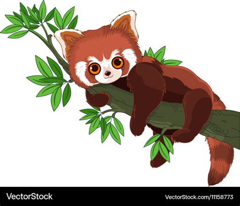 Premium Vector Cartoon Red Panda Isolated On White Background Riset