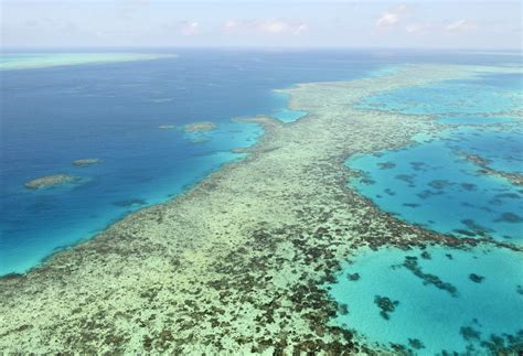 The Great Barrier Reef is being battered by climate change, and it ...