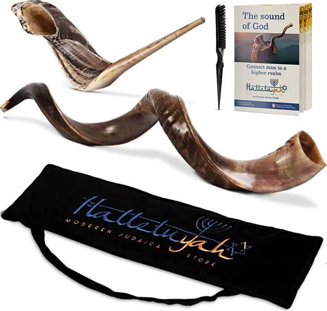 Shofar Kudu Horn Instrument Shofar Angels Musical