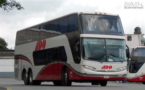 Autobuses Del Oriente Ado Bus M Xico