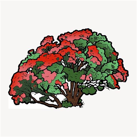 Pohutukawa Tree Images | Free Photos, PNG Stickers, Wallpapers & Backgrounds - rawpixel