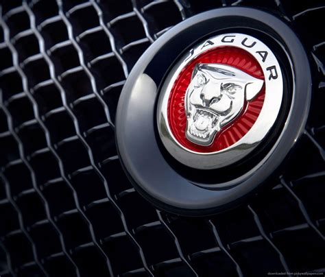 Jaguar Car Logo Wallpaper Hd