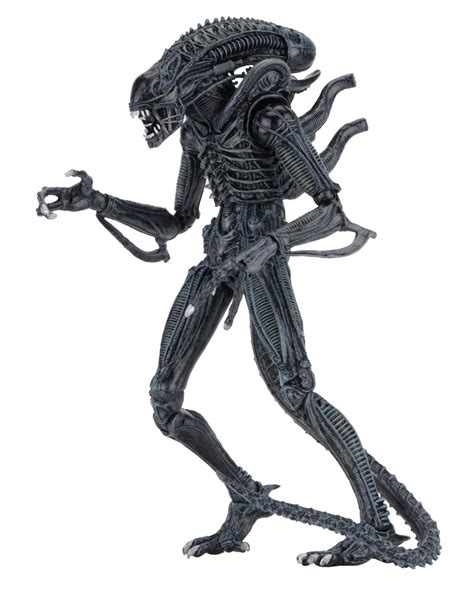 Aliens Scale Action Figures Ultimate Alien Warrior