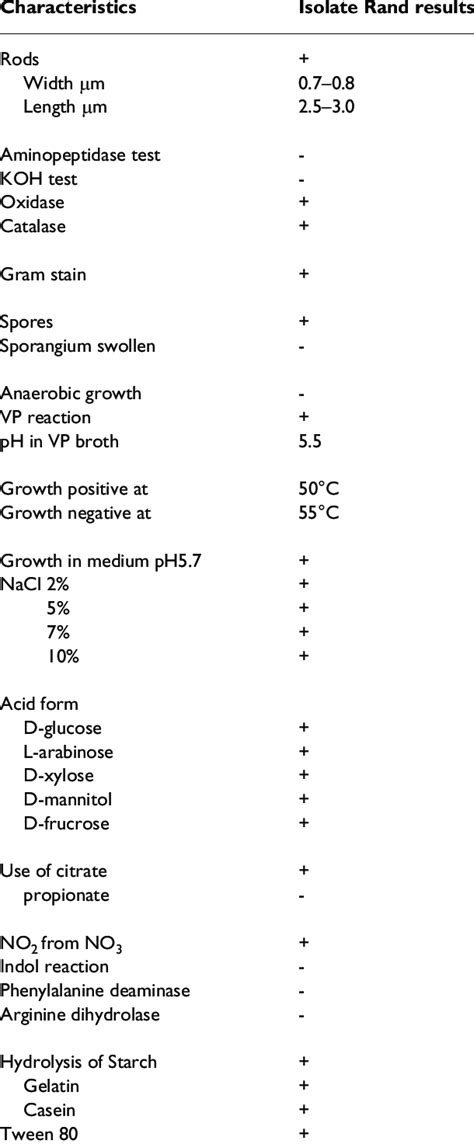 Morphological And Biochemical Characteristics Of Bacillus Subtilis