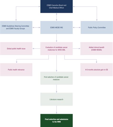 Essential Cancer Medicines Adding Feasibility To The Magnitude Of