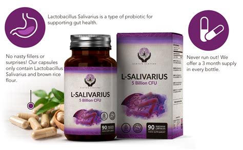 Lactobacillus Salivarius Probiotic Capsules | 90 High Strength 5 ...