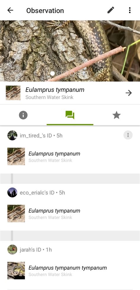 Genus species + species? - General - iNaturalist Community Forum