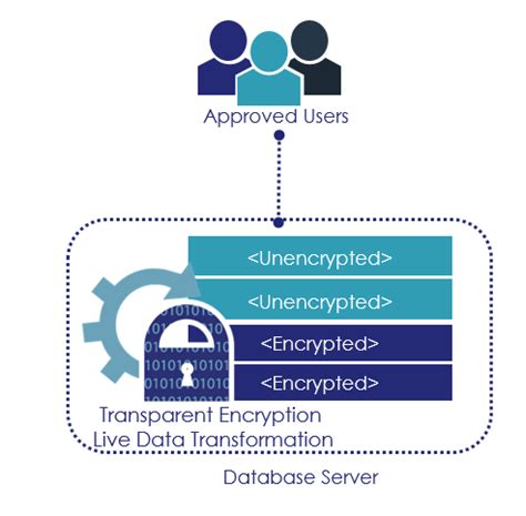 ciphertrust transparent encryption  data transformation