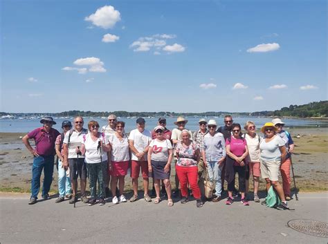 Les Mouettes Rieuses Randonnent L Le Aux Moines La Perle Du Golfe