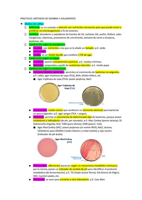 M Todos De Siembra Y Cultivos De Microorganismos Practica M Todos