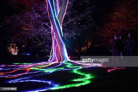 Brooklyn Botanic Garden holidays light show in New York on November ...