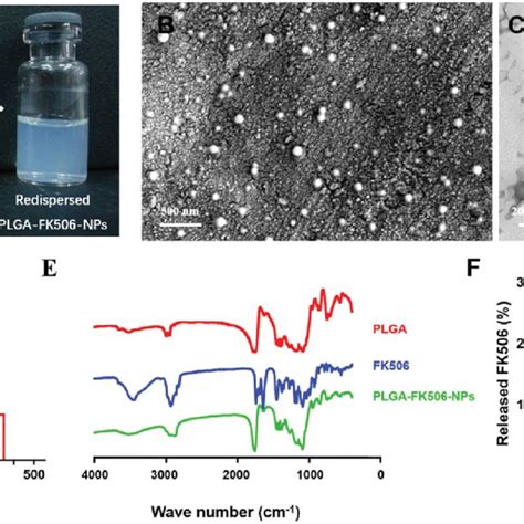 Characterization Of PLGA FK506 NPs A Redispersibility Of