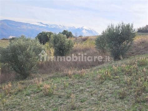 Terreno Agricolo Contrada Marulli Solcano Scafa Rif