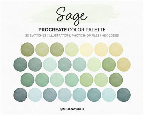 Sage Procreate Color Palette Color Swatches Ipad Illustration Lettering Procreate Art