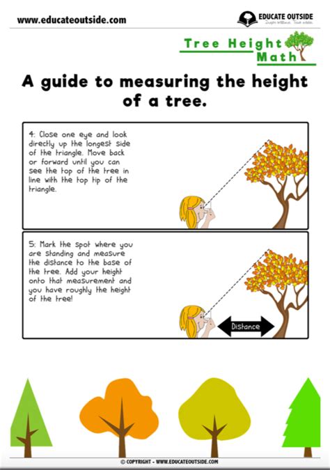 Measurement Tree Height Educate Outside