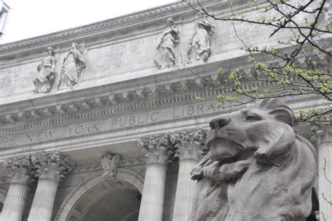 90+ Nyc Public Library Lions Stock Photos, Pictures & Royalty-Free ...