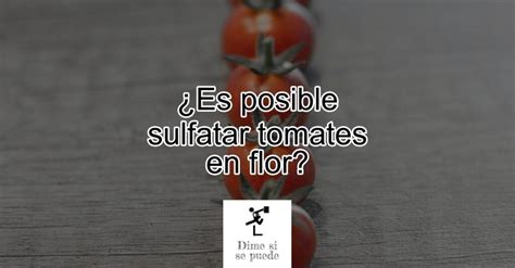 Es Posible Sulfatar Tomates En Flor Actualizado Enero