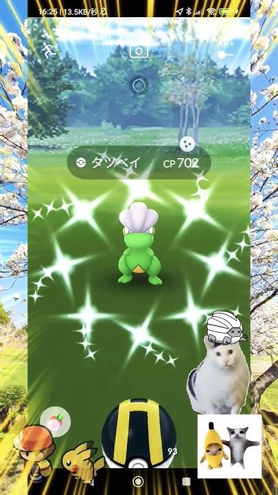 【pokémon Go】色違いタツベイgetだぜっ！（復刻コミュニティ・デイ）featやっとこさ色違いカビゴンもget！！with熊本