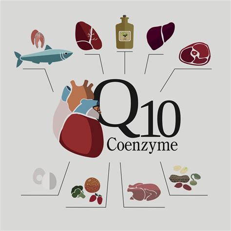 What Is CoQ10 and what are its Heart Health Benefits? - Health Beat