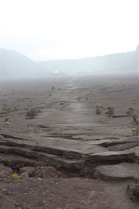 Kilauea Iki is a crater within Volcanoes National Park. Live steam ...