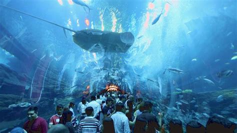 travel and tourism: Dubai Mall Aquarium