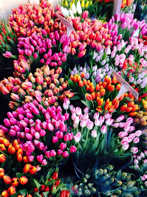 Columbia road flower market. Tulips Beautiful Bouquet Of Flowers, My