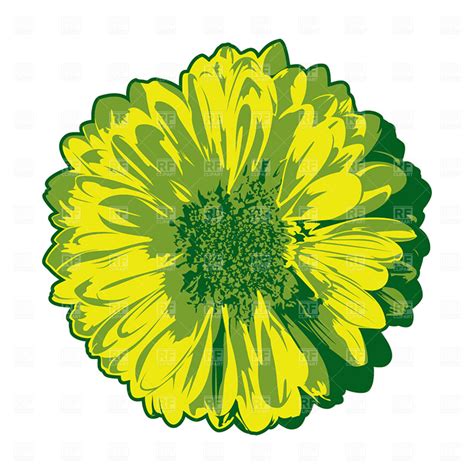 Gerber Daisy Clipart Free Download On Clipartmag