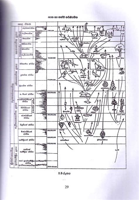 Geography Resource Book A L Kuppiya Store Education Publications Sinhala