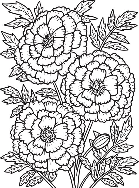 Marigold Flower Coloring Page for Adults 7066781 Vector Art at Vecteezy