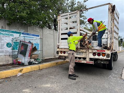 Impulsan Jornadas de Descacharrización en Isla Mujeres