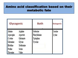 Classification and Structure of Standard Amino Acids | PPT