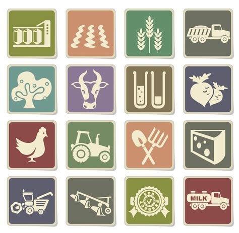 Iconos de iconos agrícolas en etiquetas de cartón Vector Premium