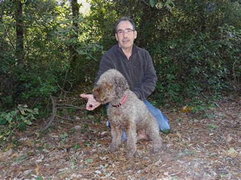 Pascal Chautrand Et Son Chien Truffier Viennent Aux 7 Automnales De