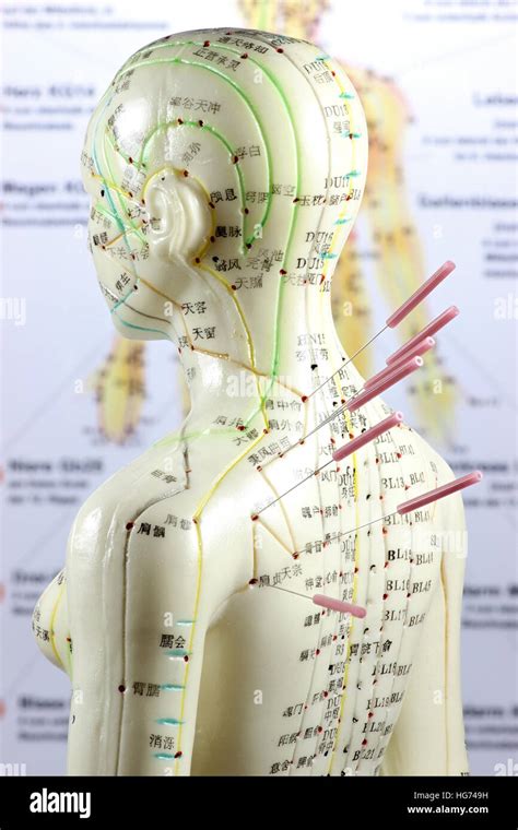 Meridians Hi Res Stock Photography And Images Alamy